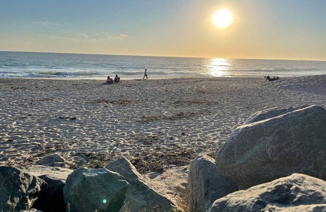 Walk to Beach - King Apt In 1 Area - AC