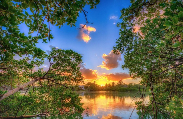 A pie de la playa, tiendas, restaurantes y mucho más. ❤️💛💚