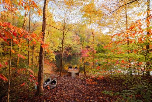 Waterfront A Frame with Dock Canoe Kayaks Family
