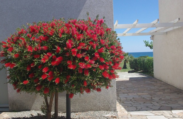 Waterfront villa (4 to 6 people), Prunète beach