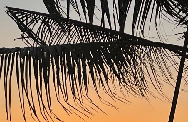 Semana 550 € Villa con piscina privada y jardín exótico de 1400m², WI-FI