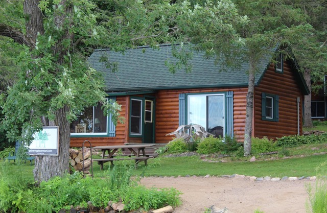 Welcome to Lakeview Pine: The Lakeside Escape