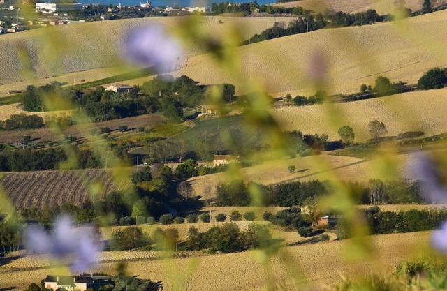 Bienestar y relajación en la región de Marche en Tenuta Coste da Sole