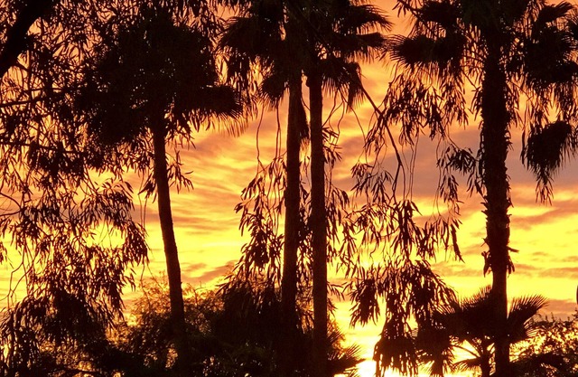 A la venta SERENDIPITY AWAITS! Romántico, PRIVADO SCOTTSDALE RETIRO GRAND OASIS !!!