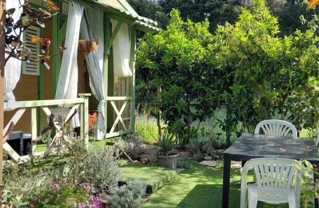 Whole house: cabin - Sorbo-Ocagnano, France