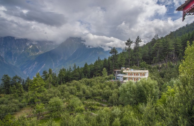 Wildtrails by Livingstone Standard Room