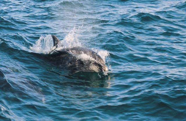 Preciosa casa de vacaciones privada con jacuzzi, WIFI, TV, patio, vista panorámica y aparcamiento