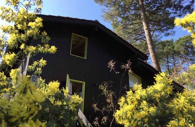 Chalet de madera en el lago Lacanau: un remanso de paz rodeado de naturaleza ...