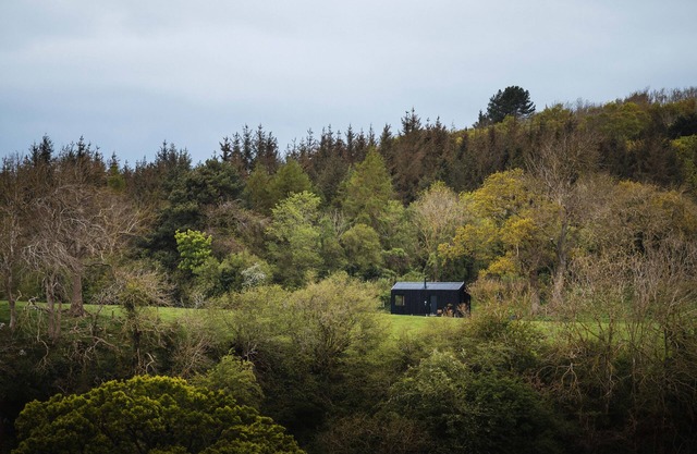 Woodland Hideaway on a Working Farm Near Snowdonia