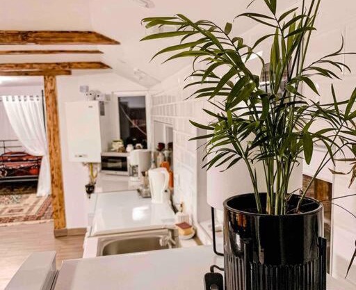 Yard Studio Râșnov