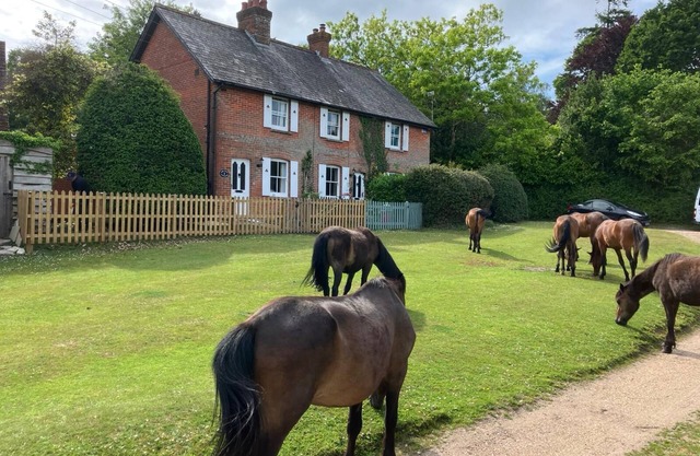 Rural-Familiar-Baño privado-Vista al campo-Yew Tree Cottage