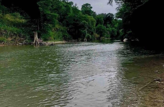 Your Own Piece of The Guadalupe! Long Stay Discount!