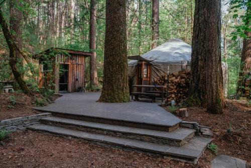 Your private Yurt in the woods - Nevada City