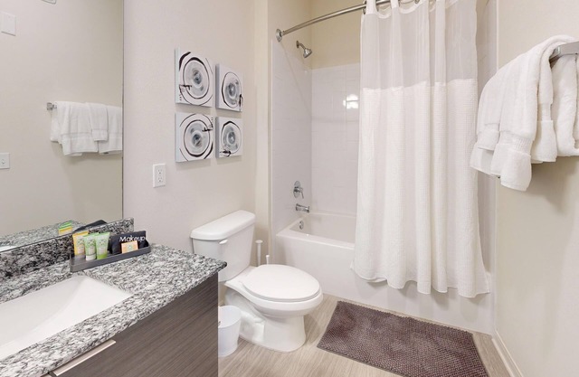 Your South Tampa Oasis: M South Units with Pool and Prime Location