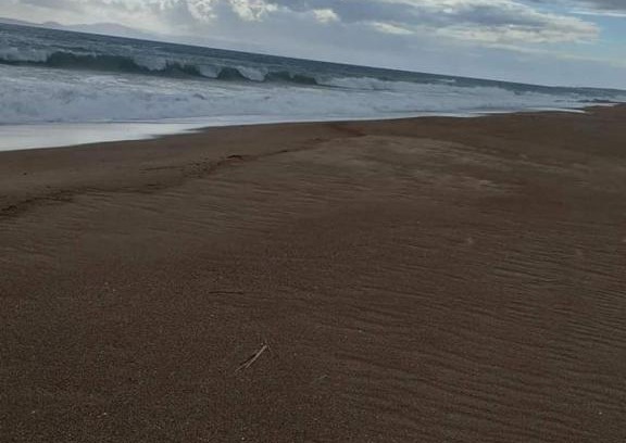 Pineios Apartamento | Eξοχική κατοικία κοντά στη θάλασσα