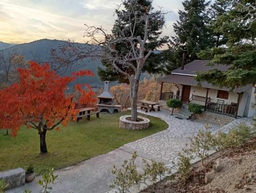 Synikia Mesi Trikalon Casa | Ξενώνας Το Πατρικό
