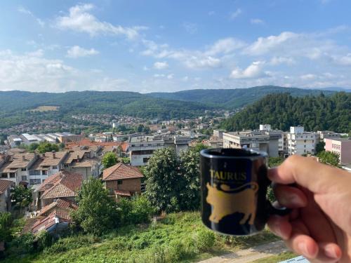 Tryavna Apartamento | Апартамент Панорама Трявна - кът за отдих, въздухолечение и почивка