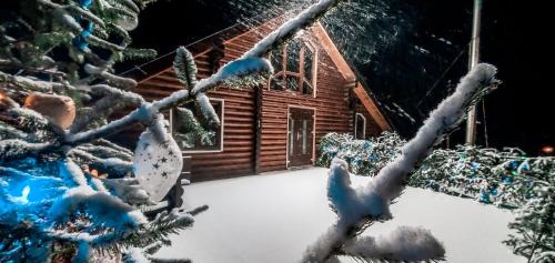 Plavya Casa | Галерея Карпат