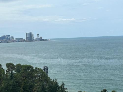 Makhinjauri Apartamento | Студия на двоих с потрясающим видом на море