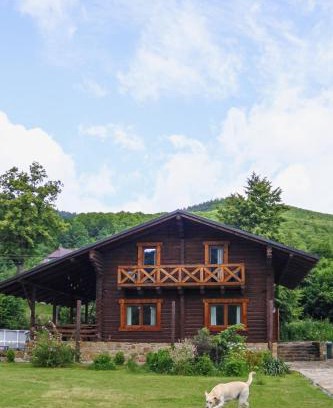 Dubyna Chalet De Esquí | сottage "Ksenija" котедж "Ксенія"