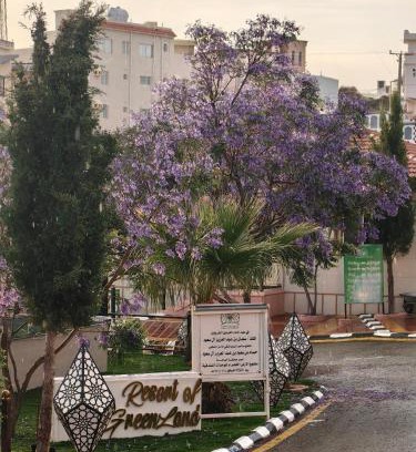 Al Bahah Apartamento | شاليهات الارض الخضراء لبيوت العطلات