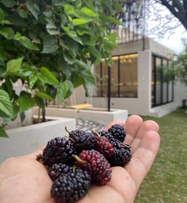 Al Hada Chalet De Esquí | غصن الهدا