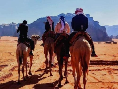 Wadi Rum Otro | مخيم نجوم رم