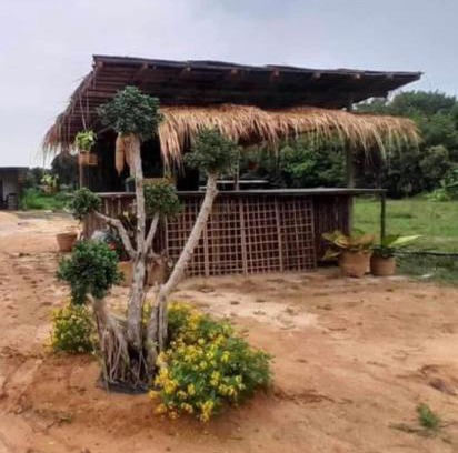 Buriram Otro | ทุ่งนากางเต้นท์ Countryside