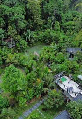 Kong Ra Apartamento | บ้านเล็กในป่าใหญ่โฮมสเตย์ กงหรา พัทลุง
