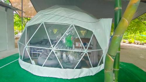 Chonburi Otro | สวนบ้านเราแคมป์ Our Garden Camp