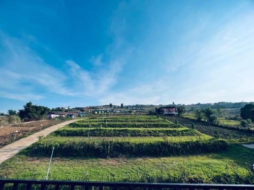 Lom Kao Casa | ไร่รักดอย ภูทับเบิก