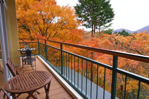 Hakone Casa | 美術の宿 箱根もみじの森