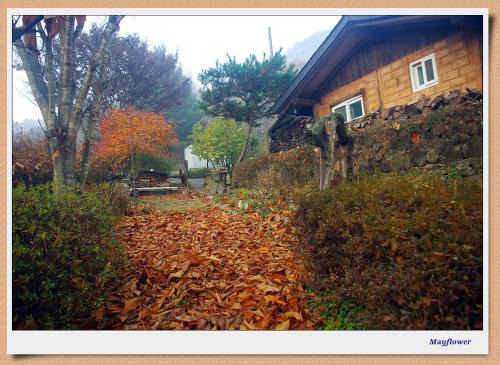 Eumseong Casa | 숲속 작은 황토집