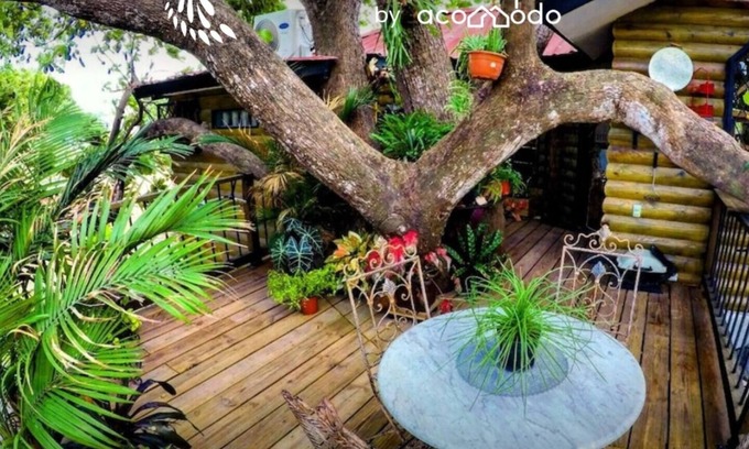San Jose Casa | 1 bdr - Ensuite tree house 🌳🏠 premium amenities / Ranch and sanctuary 🦚🤠
