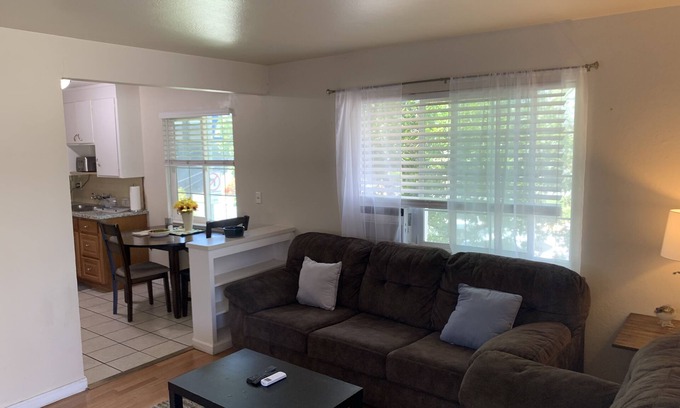 San Jose Apartamento | 1 Bed 1 Bath downtown San Jose