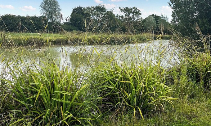 Woodbridge Cabaña | 1 bedroom accommodation in Framlingham