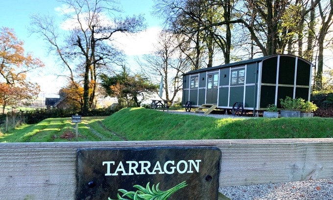 Tavistock Cabaña | 1 bedroom accommodation in Lamerton