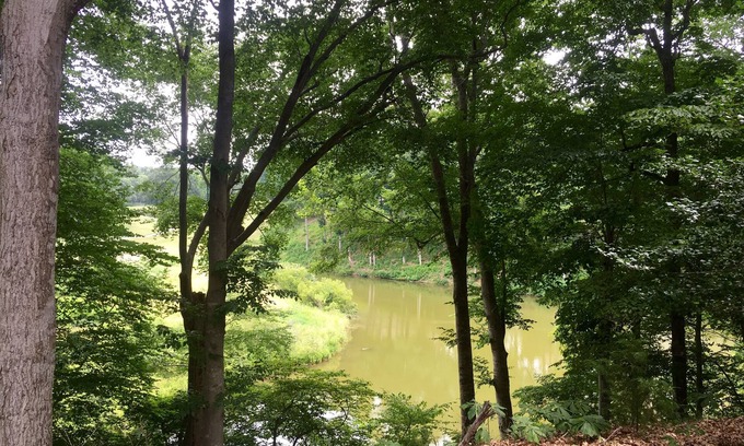 Kingsmill Condominio | 1 BR Kingsmill Resort Condo minutos a Colonial Williamsburg!