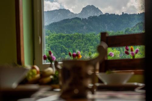 Zakopane Apartamento | 100 m2 Apartment - Nabucco with 270 degree Mountain View, 65 Oled TV, Netflix, PS5 Console