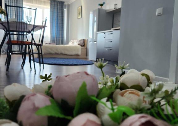Almaty Apartamento | 2 -ух комнатная квартира в Sholpan city