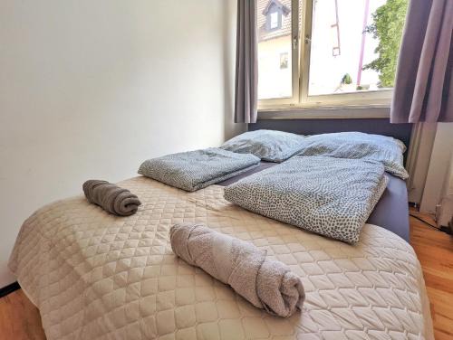 Villingen-Schwenningen Apartamento | 2 Bed Flat - Sleeps 3 - Pets - Parking - Wifi