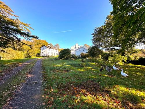 Eskdale Casa | 2 Bed in Eskdale SZ346