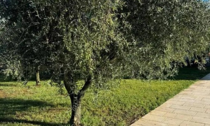 Province of Caserta Casa | 2 BR House / Balcony - Tenuta Il Poggio Teano