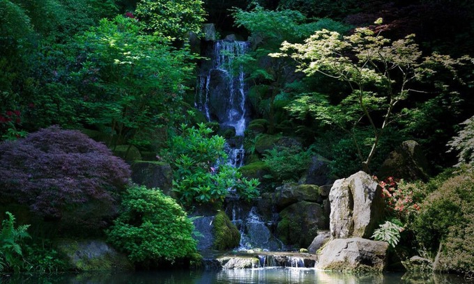 Tanasbourne Casa | 2 Units Near Portland Japanese Garden! Indoor Pool, Pet-friendly Property!