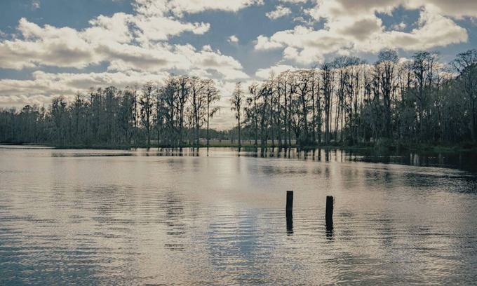 Greater Northdale Casa | 3bdr/2bth Lake Home (Tampa/LUTZ) close to all