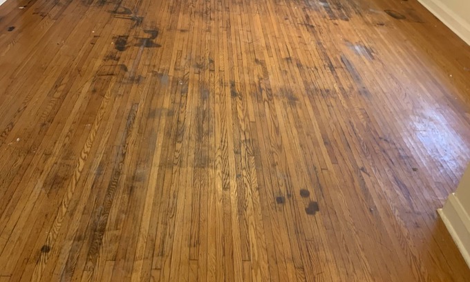 Kawartha Lakes Cabaña | 4 bedrooms lovely cottage right on water