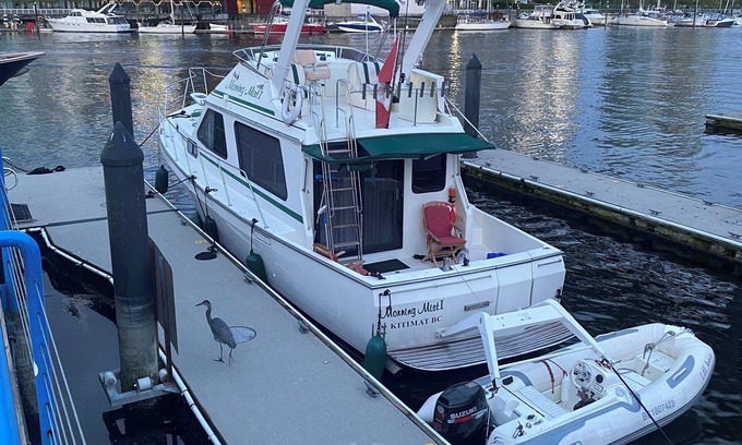Fairview Alquiler De Eote | 46’ motor yacht (6 hour charter tour)