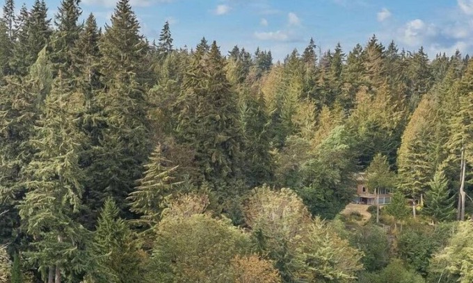 Bremerton Casa | 5 Acre Waterfront Compound - 5 Homes, sleeping 32!