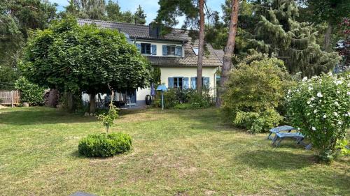 Kamminke Casa | 500m zum Strand - Ferienhaus Achterland - Sauna, Kamin, WLAN und ein großer Garten