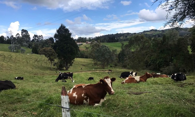 Guarne Chalet De Esquí | A 5km del parque arvi, casa finca donde puedes disfrutar de la naturaleza